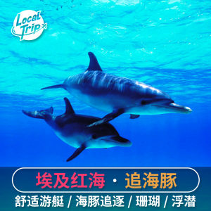 埃及红海潜水体验
