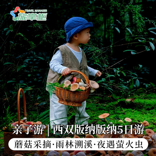 西双版纳5天私家团