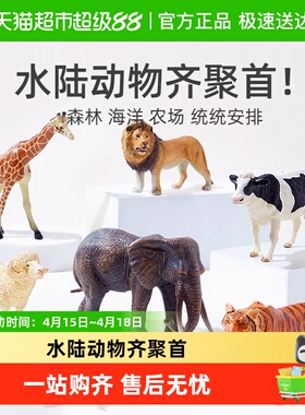 mideer弥鹿动物模型儿童实心仿真玩具早教套装海洋野生儿童节礼物