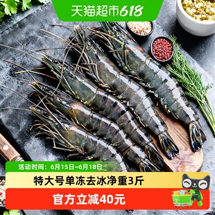 【蜜蜂惊喜社】盖世黑虎虾特大整只16-20/kg无冰衣去冰净重1.5kg