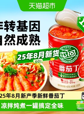 屯河新疆内蒙番茄丁410gx12罐