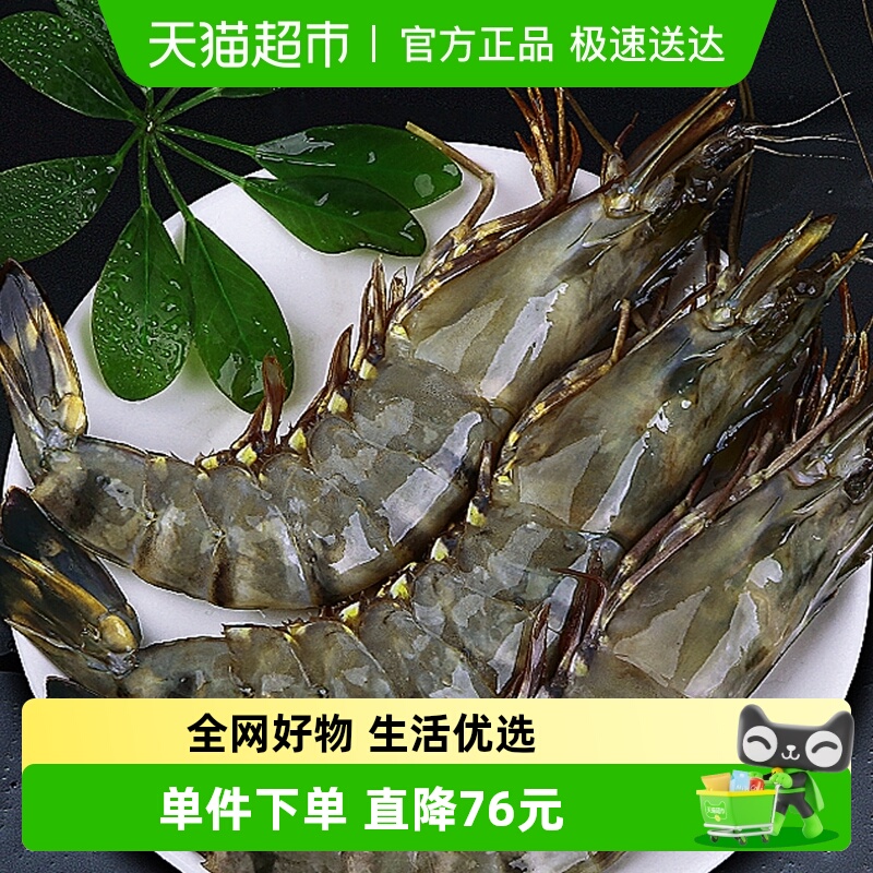[林依轮直播间]北海湾特大黑虎虾600g*3盒/3.6斤老虎虾单只
