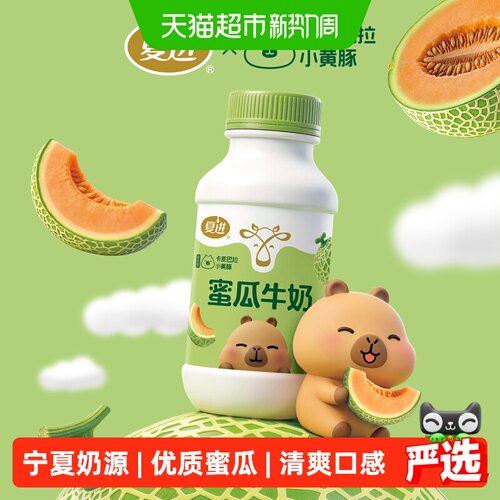 夏进新疆蜜瓜牛奶低脂高钙