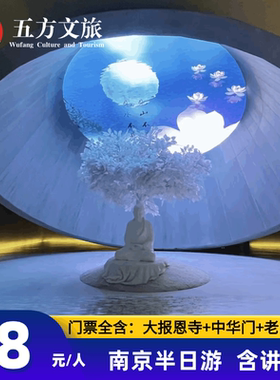 南京半日游：中华门+大报恩寺+老门东历史街+外秦淮河游船/含门票