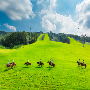 [东北亚云端草原-东北亚云端草原门票+滑草票]刷码入园