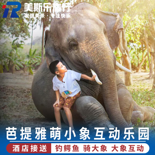 泰国旅游芭提雅萌小象大象营骑大象互动钓鳄鱼实弹射击含酒店接送