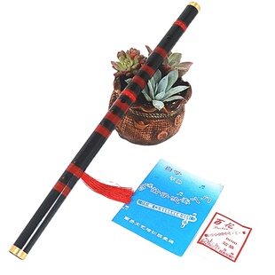 包邮竖横笛水竹笛子成人儿童初学魔道祖师陈情舞蹈道具COS笛