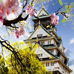 个签 日本大阪跟团游4天3晚含机票京都环球影城 短途游 纯玩小团