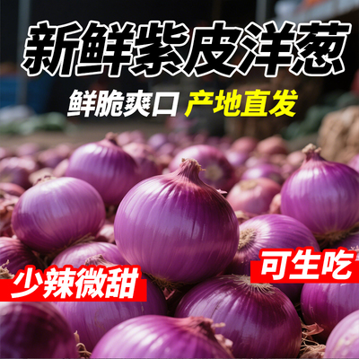 2025水果紫红紫皮洋葱红皮圆葱新鲜现挖葱头农家自种批发蔬菜