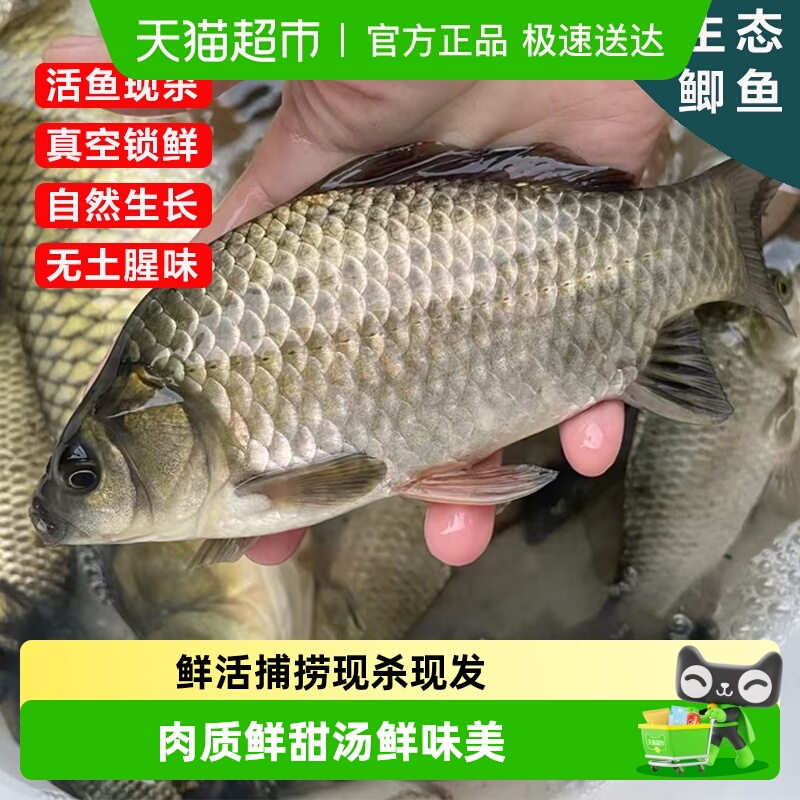 好拾味洪泽湖整条鲫鱼新鲜现杀