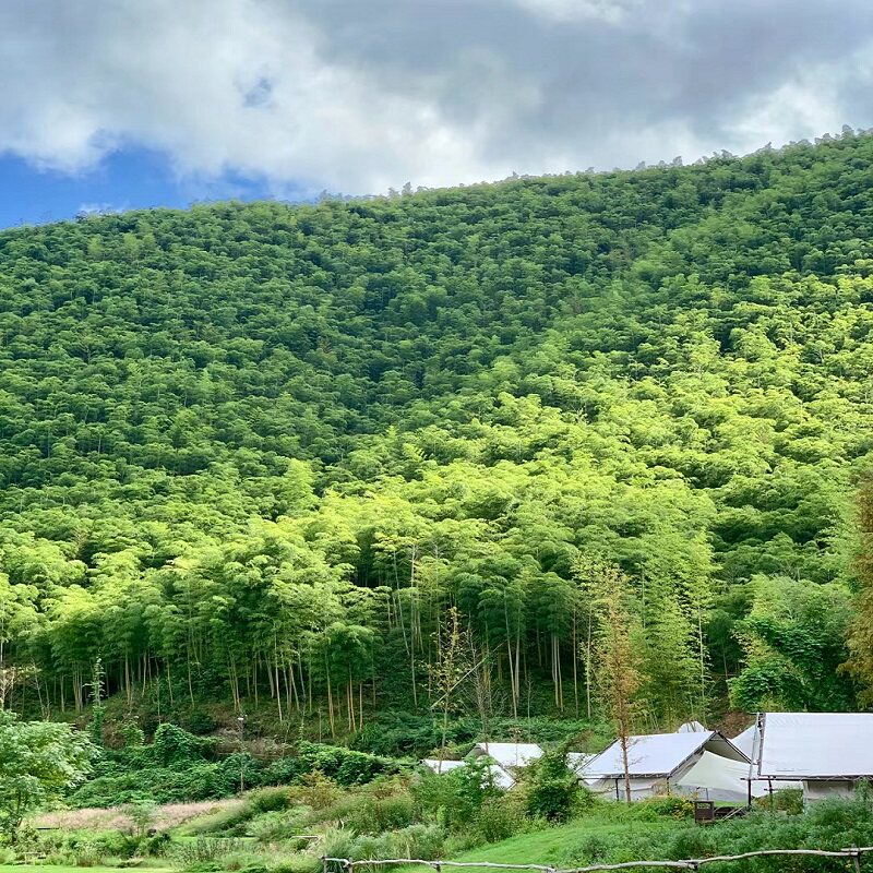 【目的地自由行】丽水3天2晚自由行,松阳天元名悦酒店+古堰画乡旅游度假区