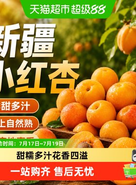 新疆阿克苏小红杏新鲜水果杏子