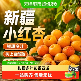 西域美农新疆小红杏新鲜水果杏子甜红杏新疆阿克苏吊干杏新疆水果