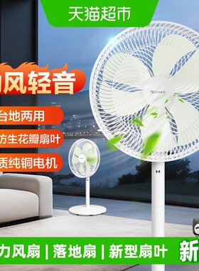格力花瓣扇叶落地扇摇头4.95kg