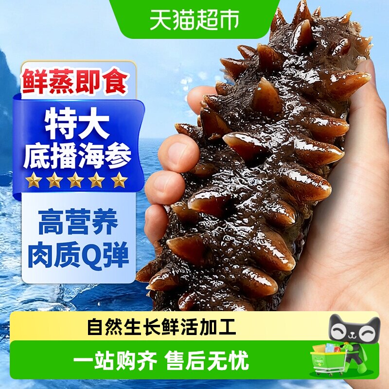 【超市推荐】大连海参鲜蒸即食图片