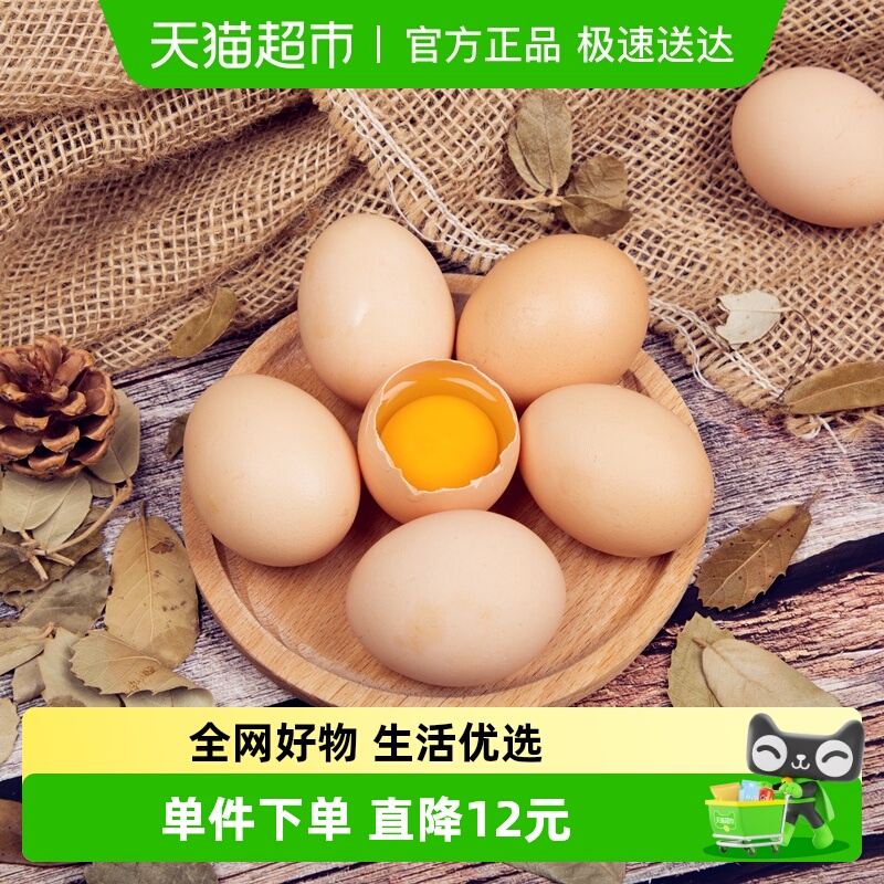 九华粮品散养土鸡蛋