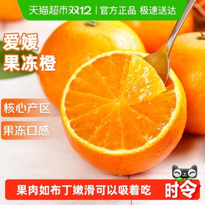 京运达四川爱媛38号果冻橙