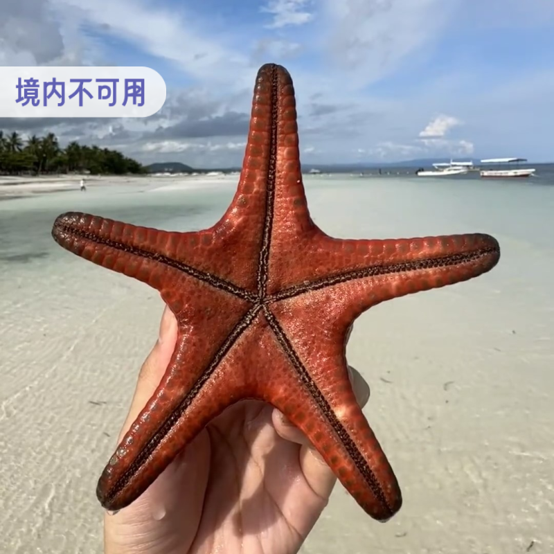 中国联通菲律宾流量充值国际漫游包1/3/5/7/10天无须换卡4G网