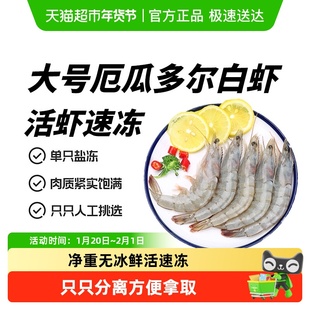 大虾鲜活速冻特大厄瓜多尔白虾非鲜速冻盐冻厄瓜海虾海鲜水产新鲜