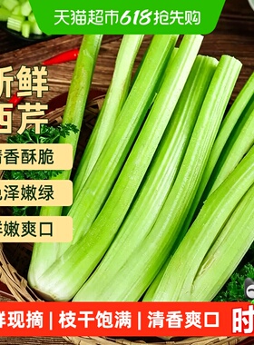 新鲜西芹芹菜大颗现摘榨汁专用果蔬山东寿光时令绿色蔬菜