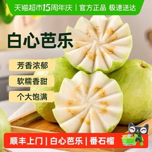 顺丰上门福建白心芭乐新鲜番石榴当季芭乐果白肉果园直发低糖脆甜