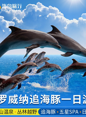 巴厘岛罗威纳追海豚看日出火山温泉越野车漂流滑翔伞spa一日游