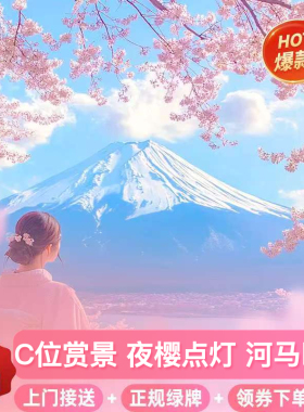 日本东京富士山一日游小团网红罗森河马巴士赏夜樱花火大会可接送