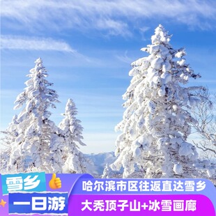 4-8人小团哈尔滨市区往返直达雪乡旅游一日游+大秃顶子山雪地摩托