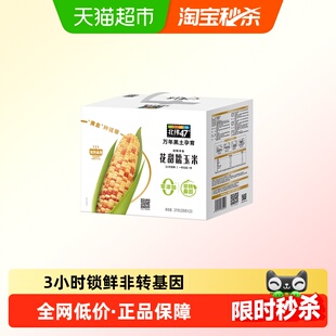 北纬47花甜糯玉米200克*10穗东北苞米棒万年黑土绿色食品糯玉米