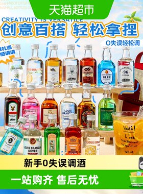 PASSTON/派斯顿调酒基酒小瓶装
