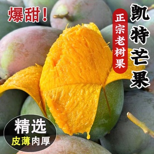 精品大果大青芒 包邮 正宗凯特芒果新鲜水果现摘当季 整箱芒果甜青皮