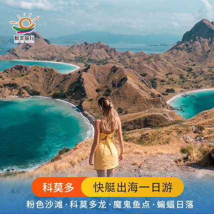 印尼科莫多一日游粉色沙滩科莫多龙帕达尔岛padar 快艇中英文小团
