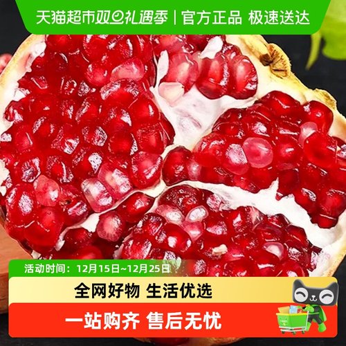 江昊阳四川突尼斯软籽石榴