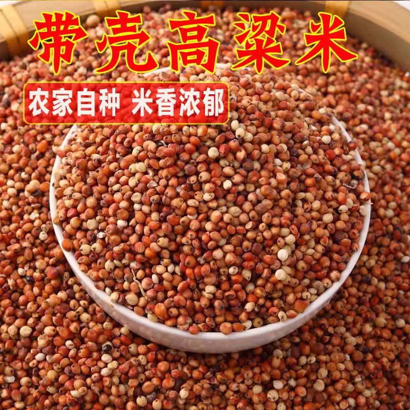 新货红高粱糯高粱带皮酿酒磨面喂鸽子鸟类粮食未脱皮乔迁结婚高粱