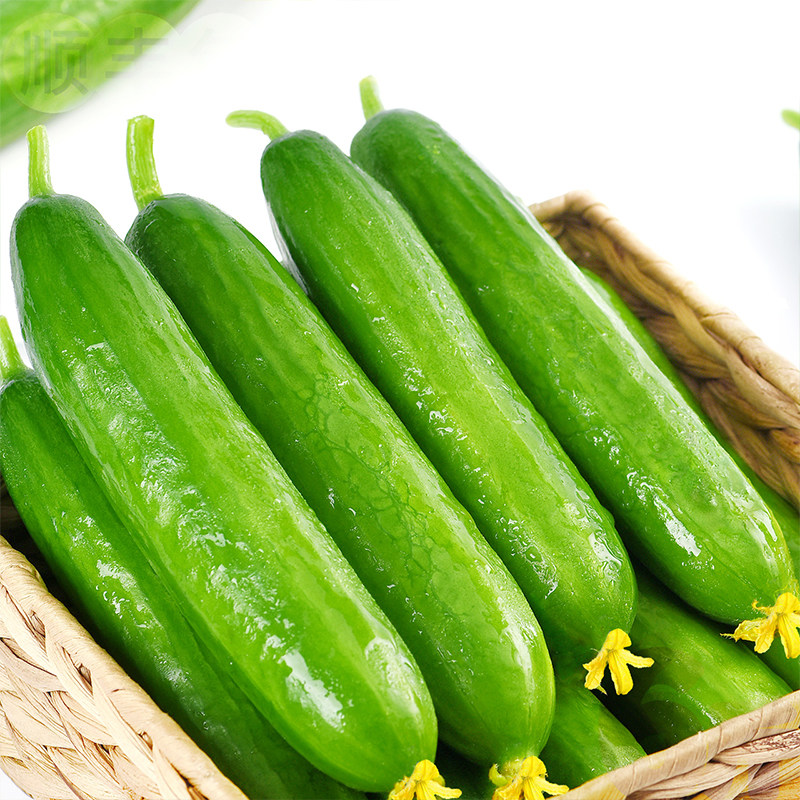 2�� ˮ���ƹϰ���5���������ԻƹϺ����Դ���������߲�