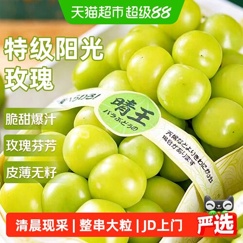 京运达当季阳光玫瑰葡萄可连皮