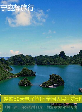 越南·一个月单次入境·移民局网站·越南电子签证EVISA，30天单次旅游签证胡志明河内岘港芽庄友谊关东兴