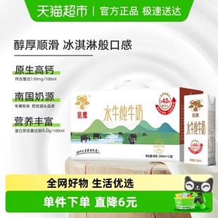 南国乳业纯奶水牛纯牛奶200mLx12盒儿童学生营养早餐纯奶整箱装