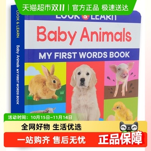 Look 书 and Learn Animals观察认识动物宝宝 Baby 英文原版