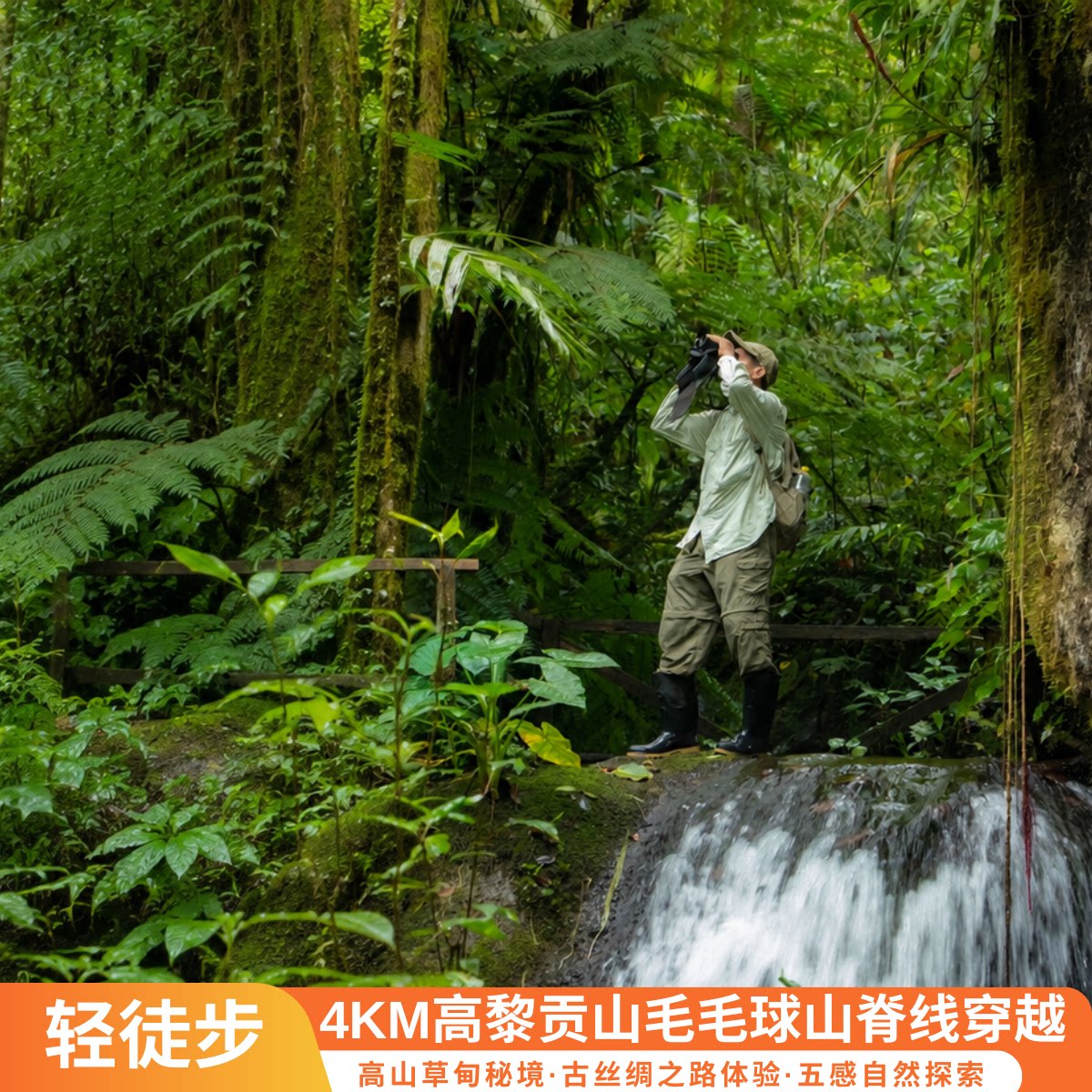高黎贡山一日游