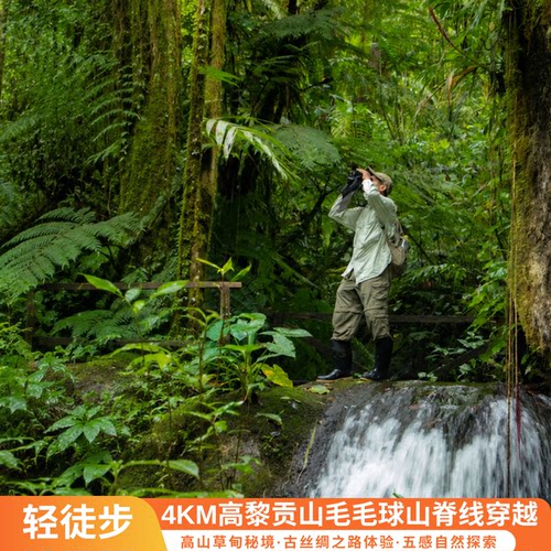 高黎贡山一日游