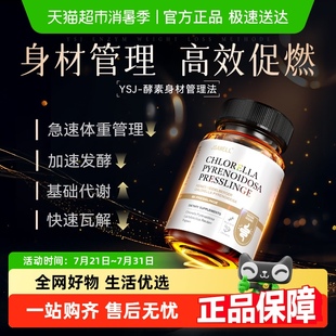 酵素輕體減促燃排油代謝提高體重身材管理正品 專利認(rèn)證男女士肥
