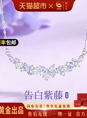 中国黄金纯银锁骨链轻奢项链