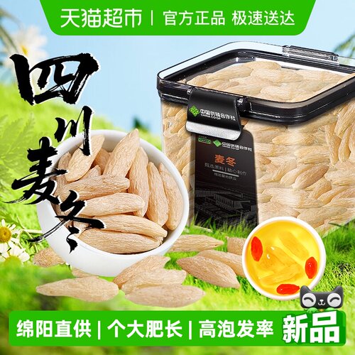 四川绵阳麦冬一粒顶多粒