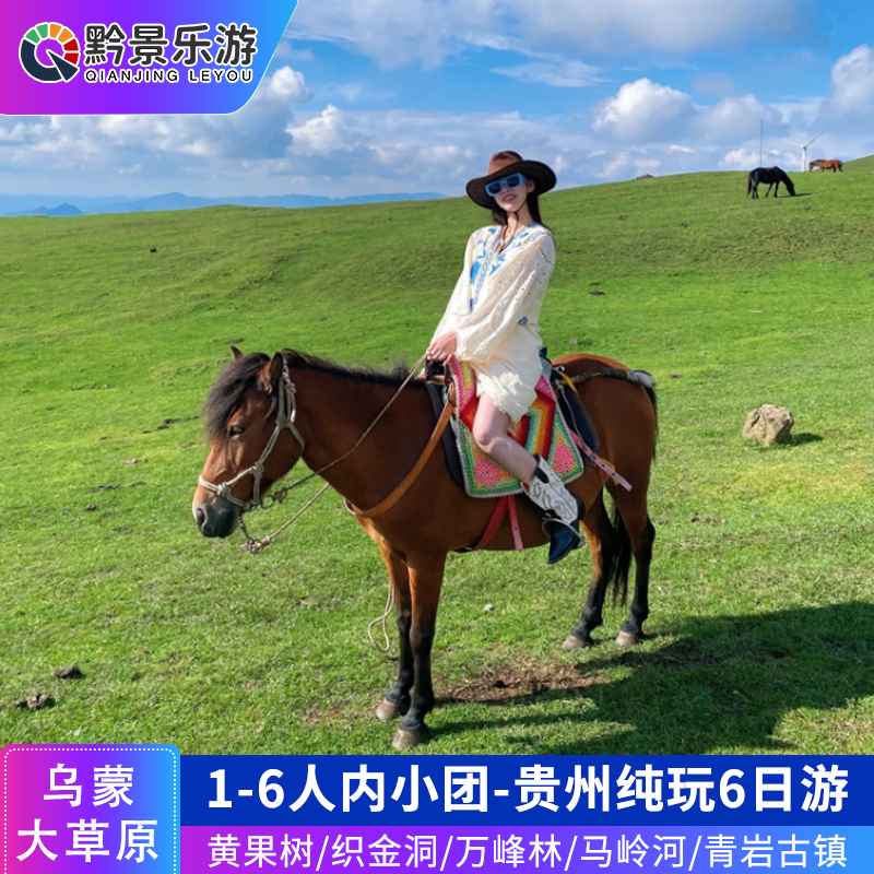 贵州黄果树织金洞万峰林纯玩小团6天