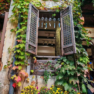 官方直营 | 庐山红枫雾凇景德镇三清山婺源篁岭夜游望仙谷6日5晚