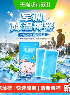 冰凉贴军训BI备用品全套降温神器