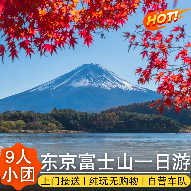 日本富士山一日游