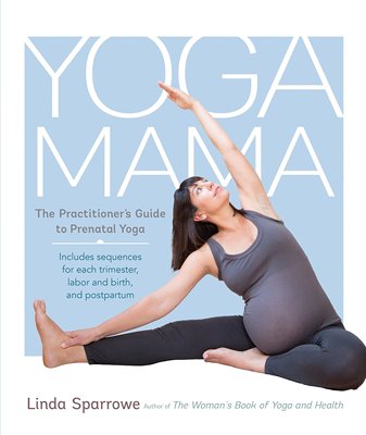 英文原版 瑜伽妈妈：产前瑜伽练习指南 Yoga Mama: The Practitioner's Guide to Prenatal
