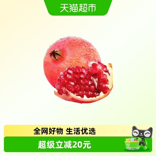 四川突尼斯软籽石榴